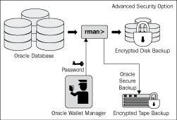 8 Using Oracle Wallet Manager