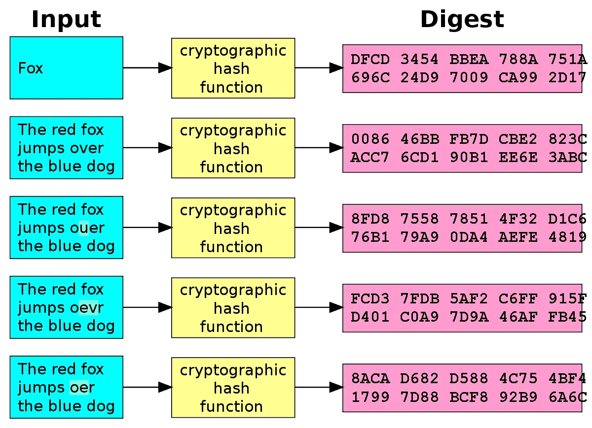 What Is the Purpose of Crypto Hashing? - TransitNet