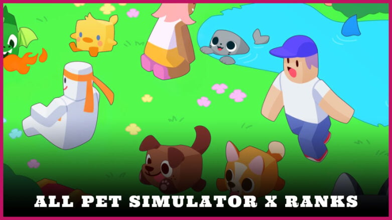 Pet Simulator X Codes - Roblox