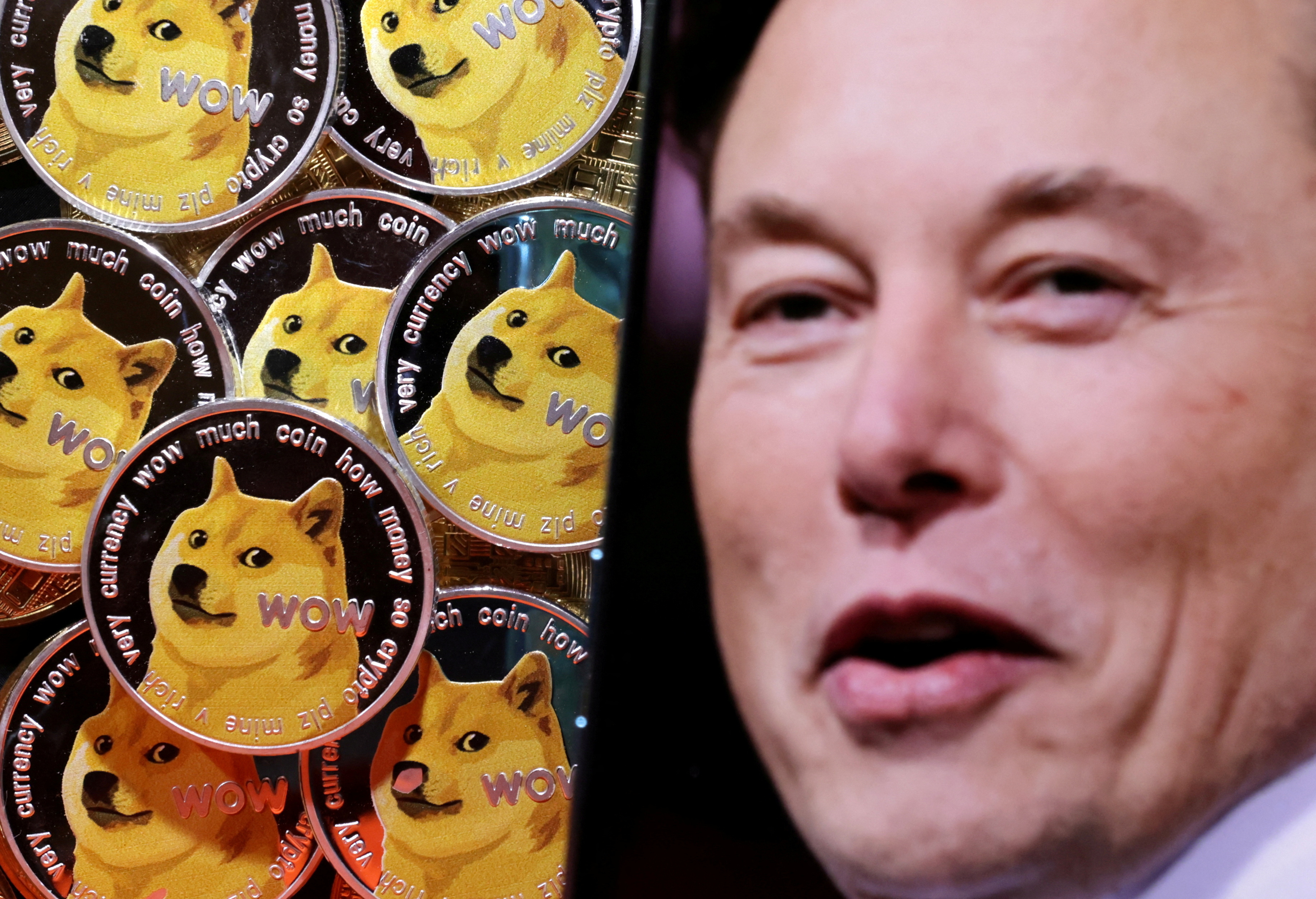 Elon Musk tweeted. Dogecoin surged more than 50% | CNN Business