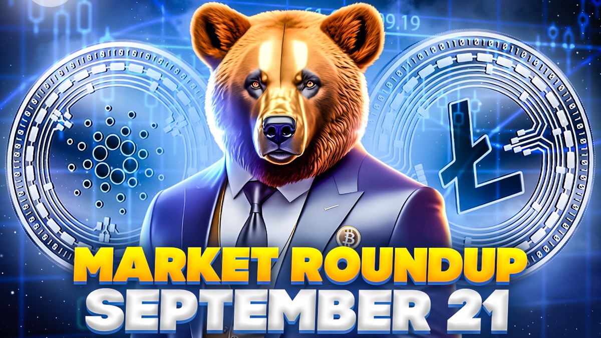 Bear Coin on Avax price today, BEAR to USD live price, marketcap and chart | CoinMarketCap