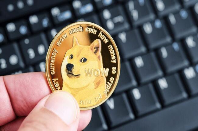 Convert DOGE to INR - Dogecoin to Indian Rupee Converter | CoinCodex