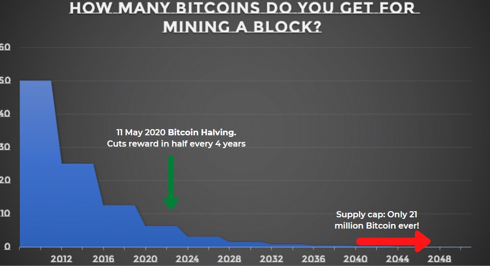 Cryptoverse: Bitcoin miners make money ahead of 'halving' | Reuters