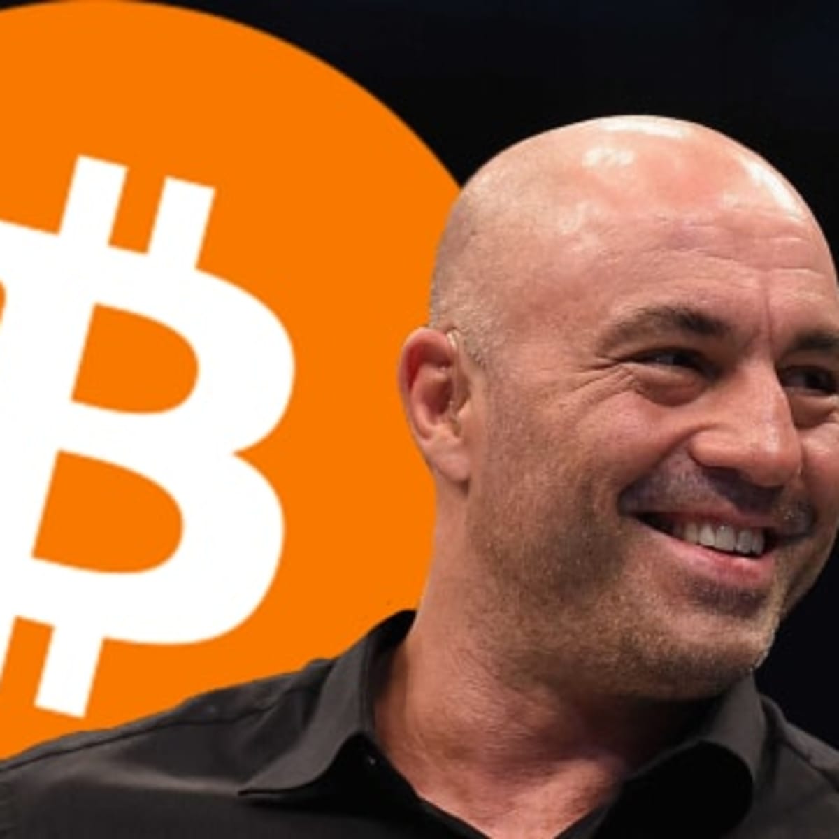 Twitter CEO to Joe Rogan: I Think Currency of The Internet Will Be Bitcoin | cryptolive.fun