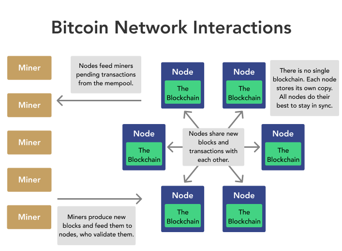 CS Study Guide: Unit 6: Bitcoin Nodes and Wallets | Saylor Academy