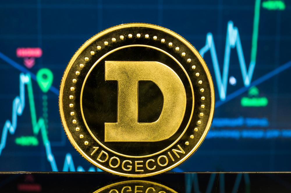 Exploring Storage Options: Types of Dogecoin Wallets