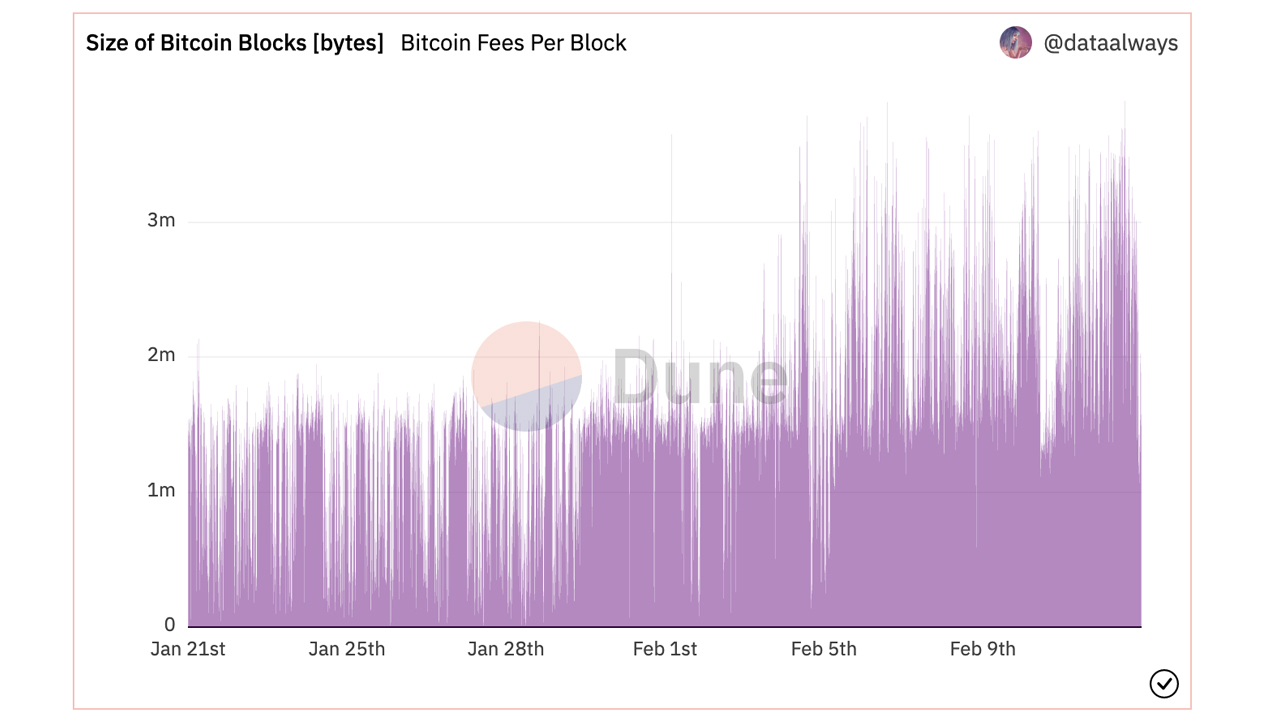 What Is The Size Of The Bitcoin Blockchain? - Phemex Blog