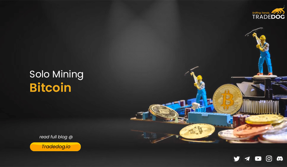 Solo Mining vs. Pooled Mining – Which Is Right for You? - D-Central