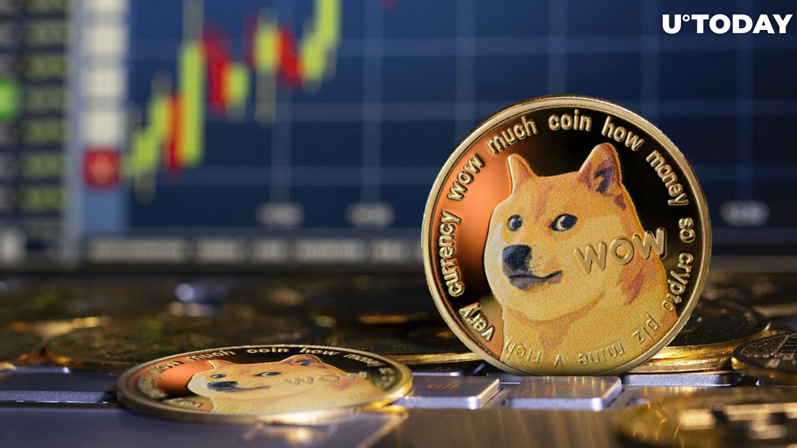 Live Dogecoin Price – How Does it Compare to Other Cryptocurrencies? - cryptolive.fun
