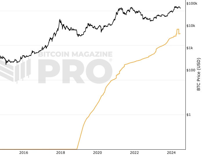 Bitcoin HODL Waves : Woobull Charts