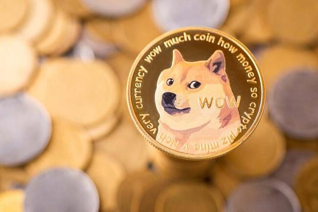 Convert DOGE to PHP: Dogecoin to Philippines Piso