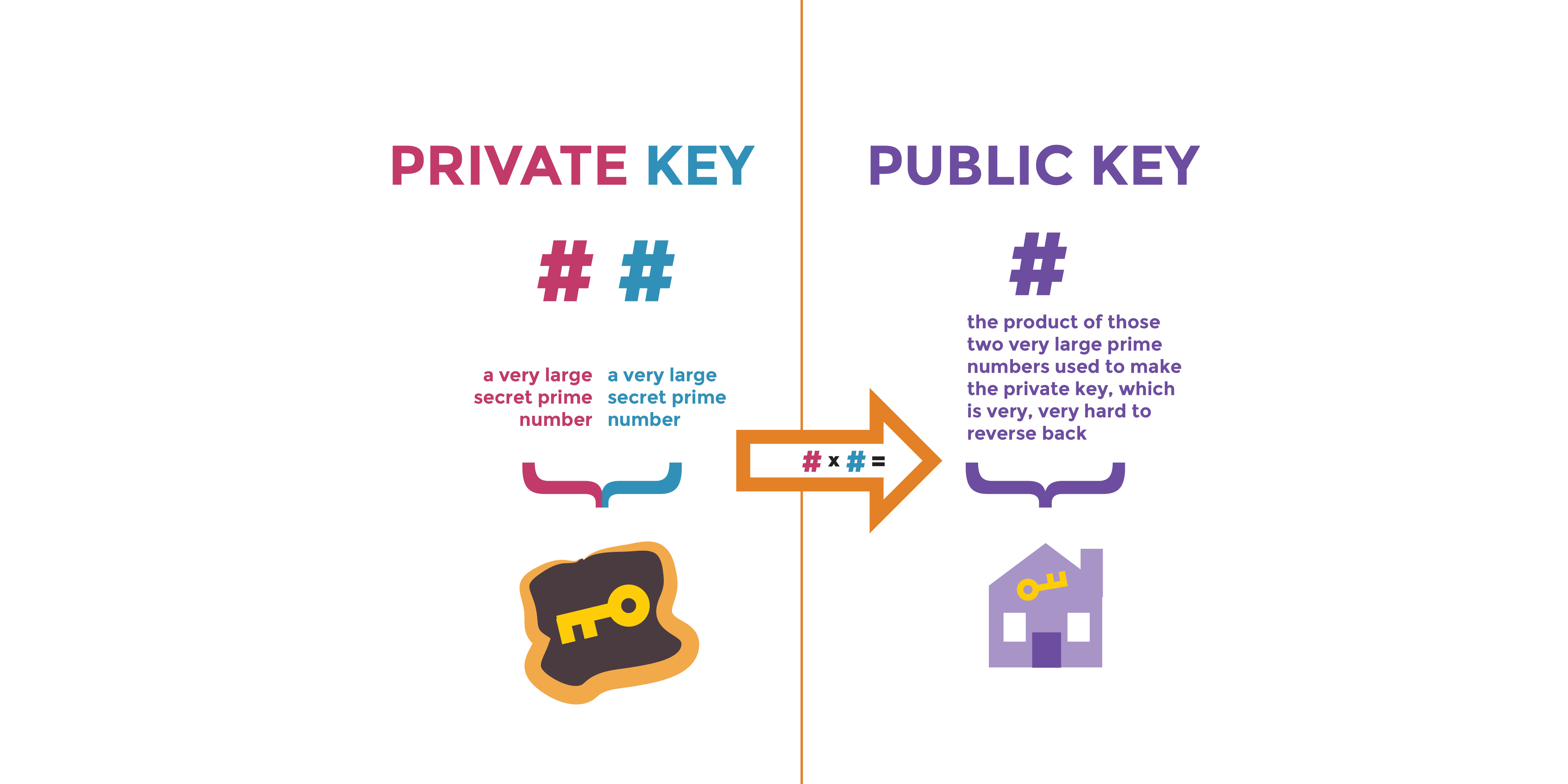 Private Key and Public Key: Definition and Difference in Cryptocurrency - HeLa Blockchain