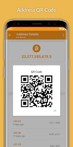 Bitcoin Address | Wallet Lookup - Blockonomics