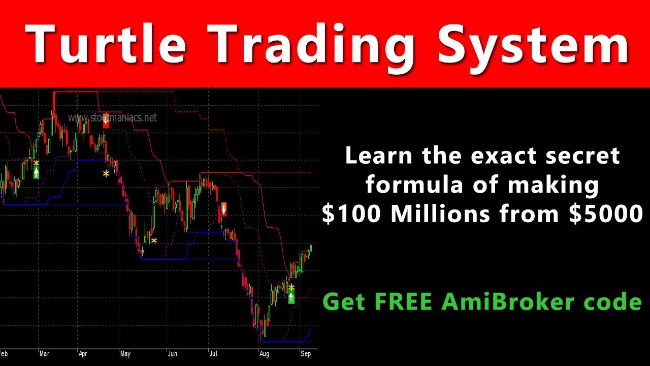 Original Turtle Trading Rules & Philosphy – The Original TurtleTrader