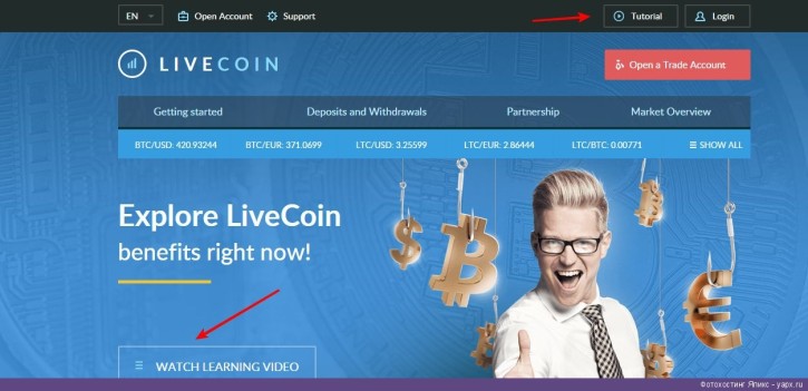 Livecoin Review and Analysis: Is it safe or a scam? We've checked and verified!