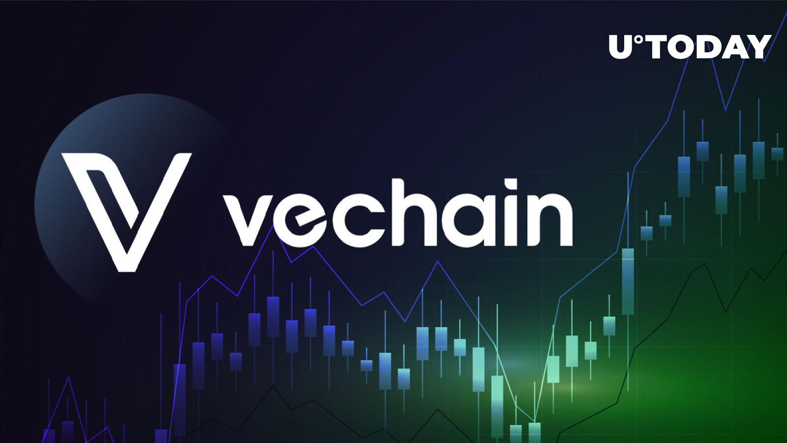 VeChain's Swift Security Reinforcement Post Twitter Hack | The Crypto Times