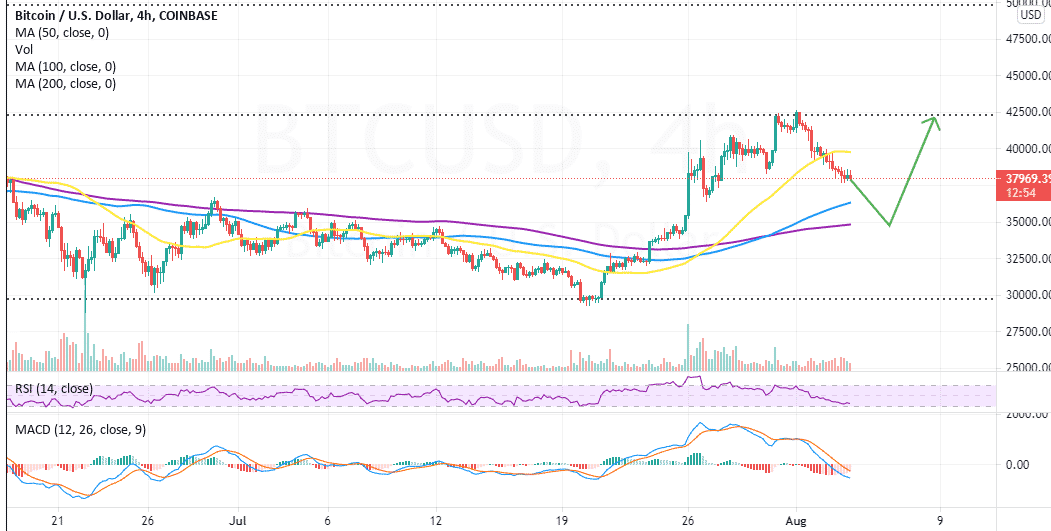 Live Bitcoin Price: BTC USD Chart - CryptoPurview