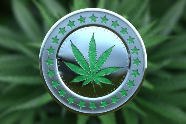 Top 5 Cannabis Cryptocurrencies You can Invest in 