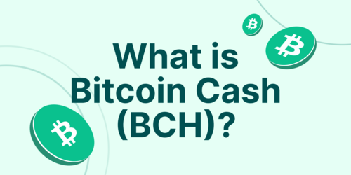 BCH to USD Converter