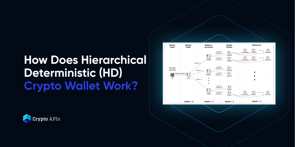 What Are HD Wallets? (Hierarchical Deterministic) With Examples