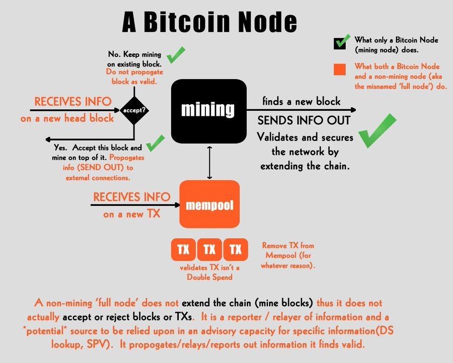 Why Run A Bitcoin Node? Navigating Nodes With Expert Guidance! () - Athena Alpha