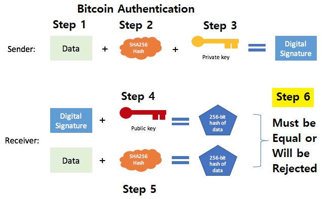 Payment Processing — Bitcoin