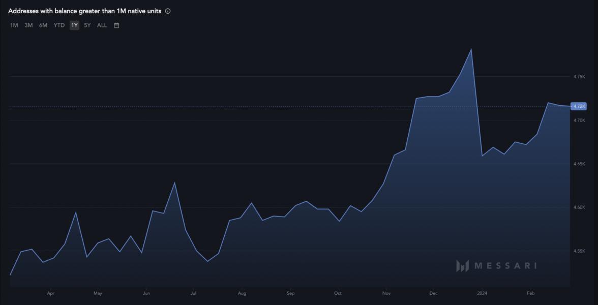 Dogecoin Owners Back in Green YTD as Meme Stocks Rip - Blockworks