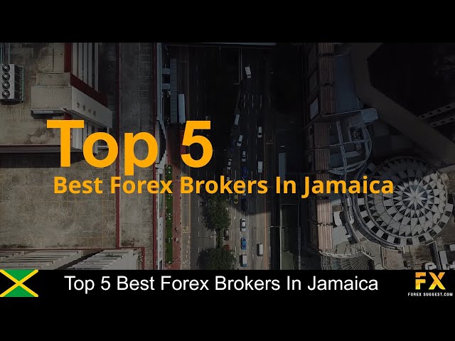 9 Best Forex Brokers of - cryptolive.fun