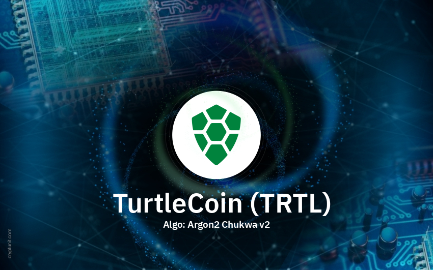 Turtlecoin (TRTL) Review: Fast, Private and Easy to Mine - Coin Bureau