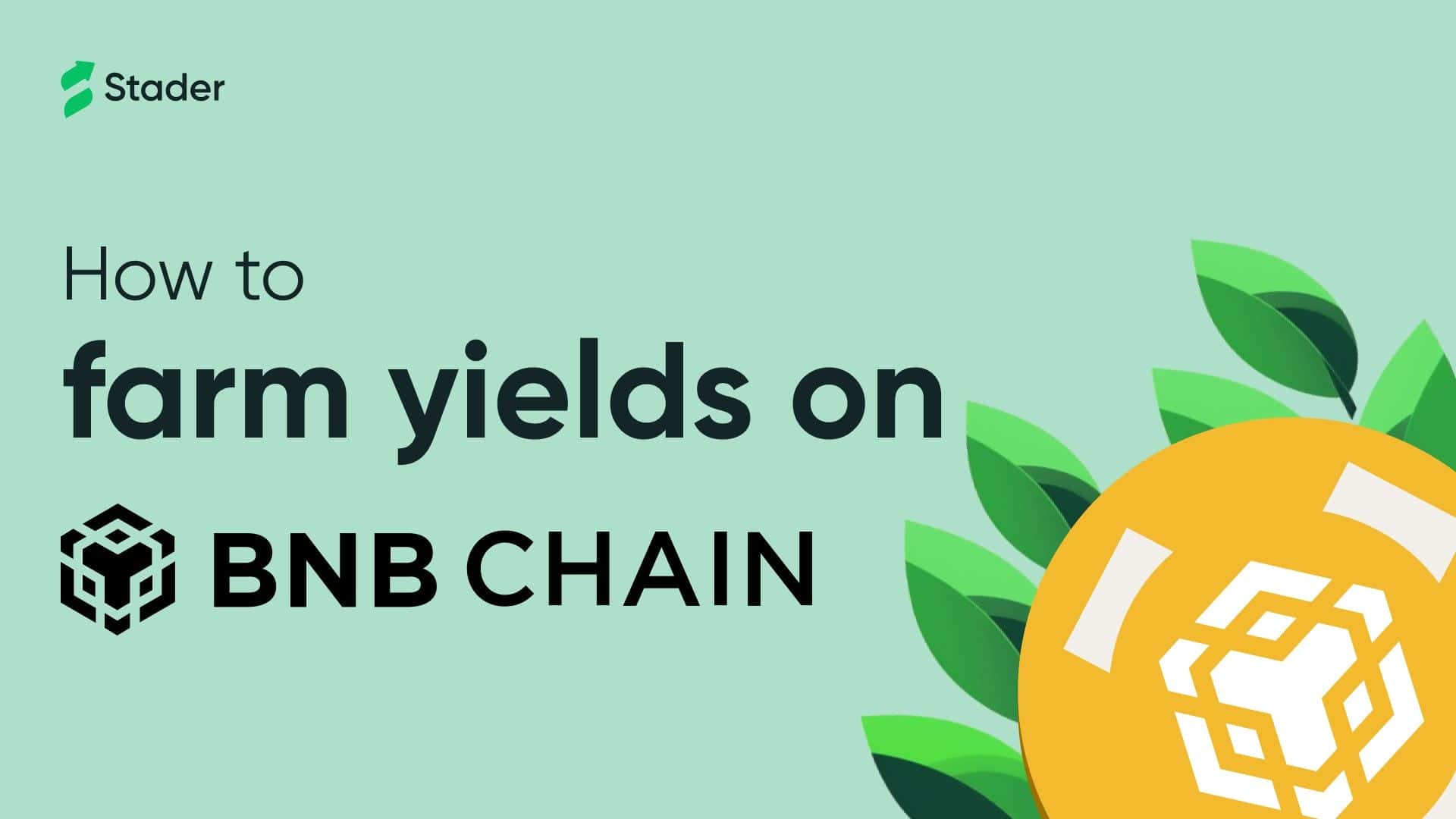 How to Check Binance Smart Chain Yield Farms And Token Prices