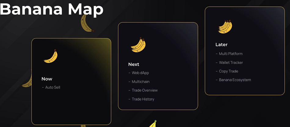 Bananacoin (BCO): What it Means, How it Works