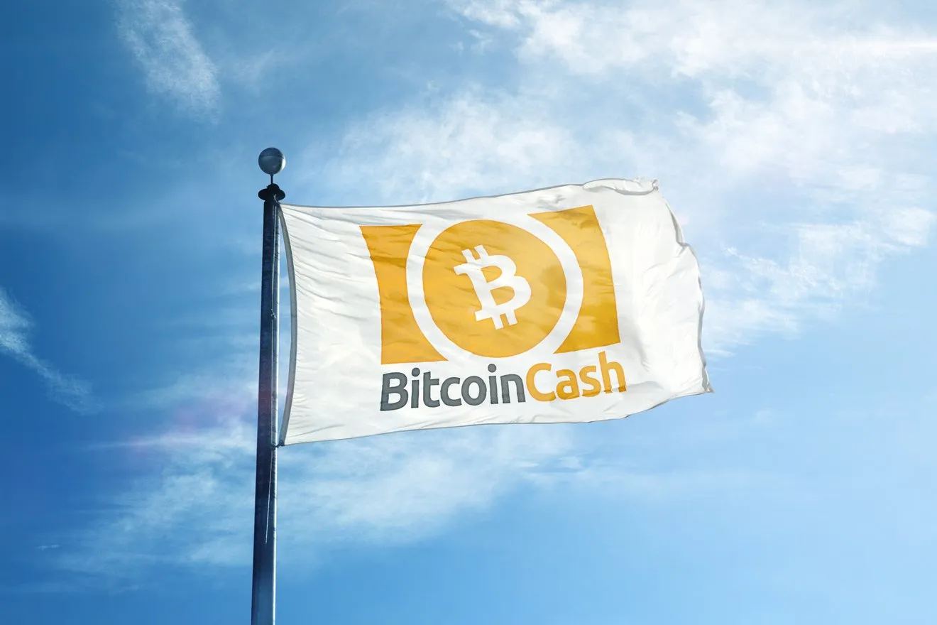 What Caused The Bitcoin Cash Hard Fork