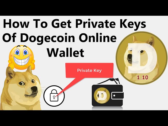 Multidoge wallet private key export to Dogecoin Core or Exodus How To