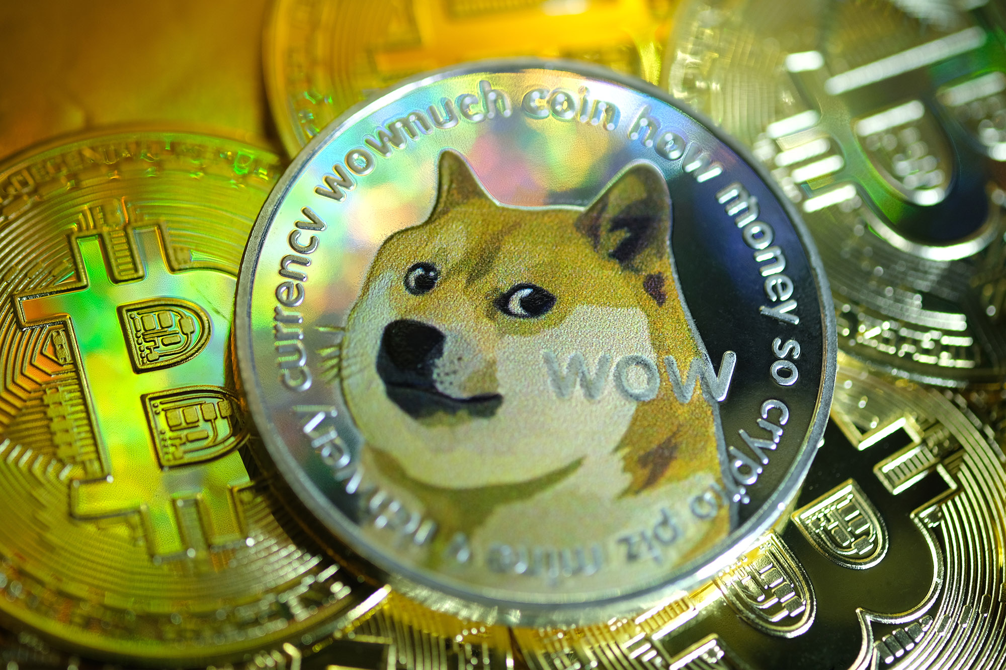 Dogecoin Price Today - DOGE Price Chart & Market Cap | CoinCodex