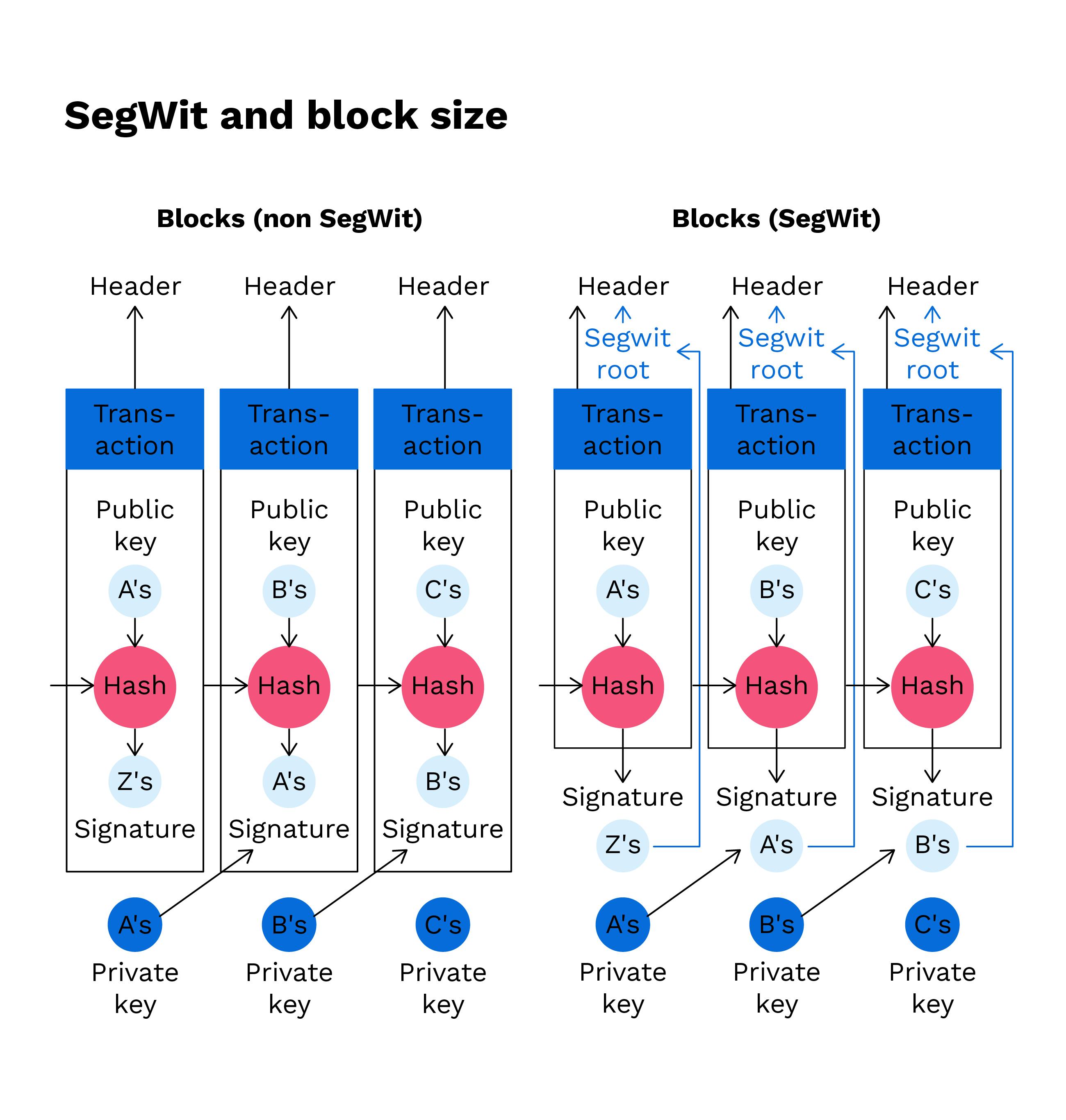 What Is Bitcoin SegWit and How Does It Work?