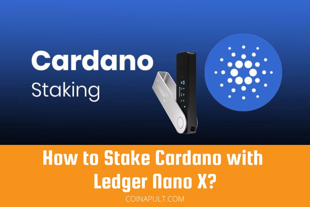 Staking Cardano on Ledger? Our Guide can Help!