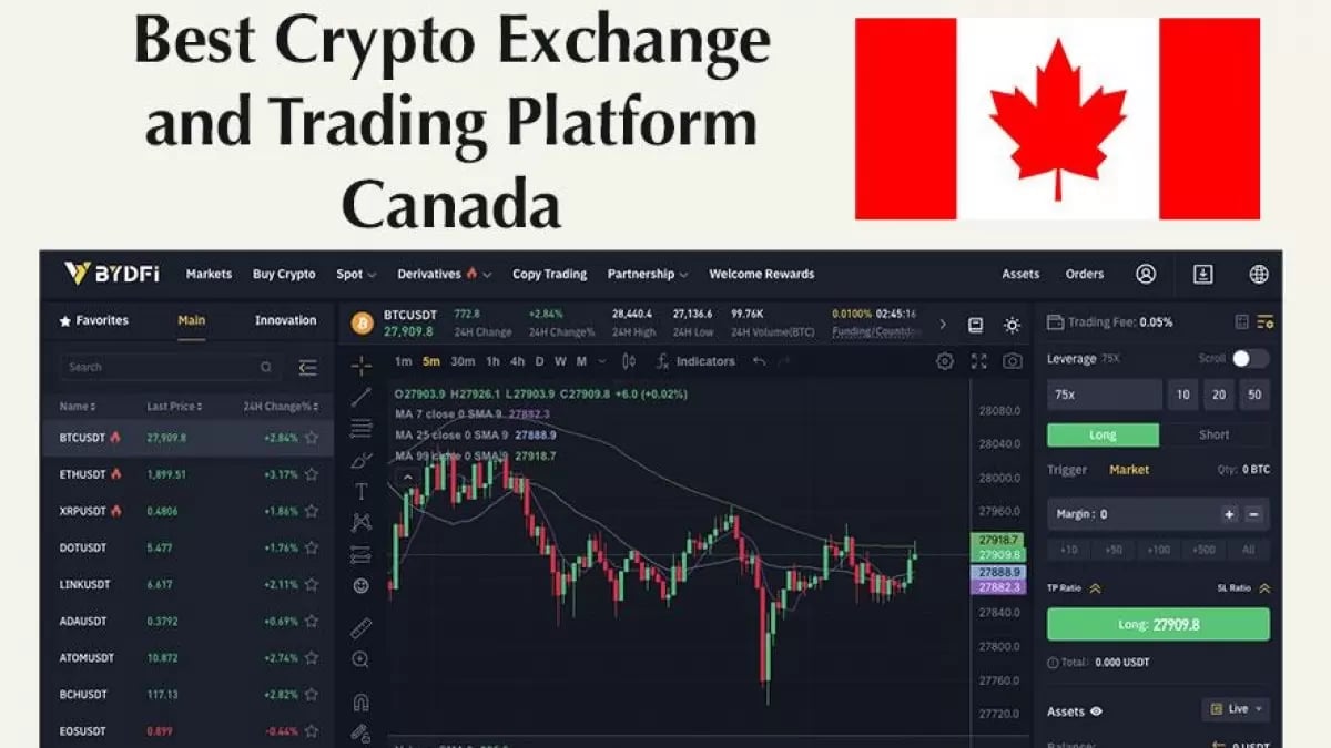 The top crypto platforms and apps in Canada - MoneySense