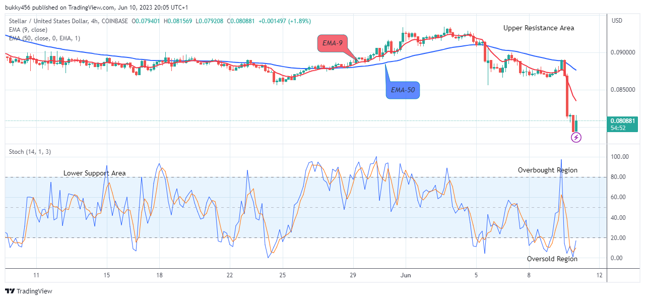 XLM/USD Dynamics: Real-time Stellar Conversion | Bitsgap