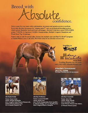 Absolute Investment - Dan McWhirter Quarter Horses