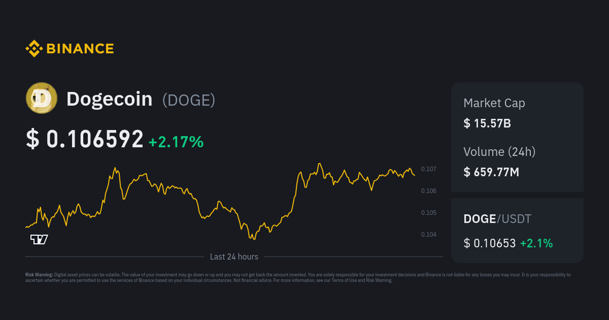 Convert 1 DOGE to USD - Dogecoin price in USD | CoinCodex