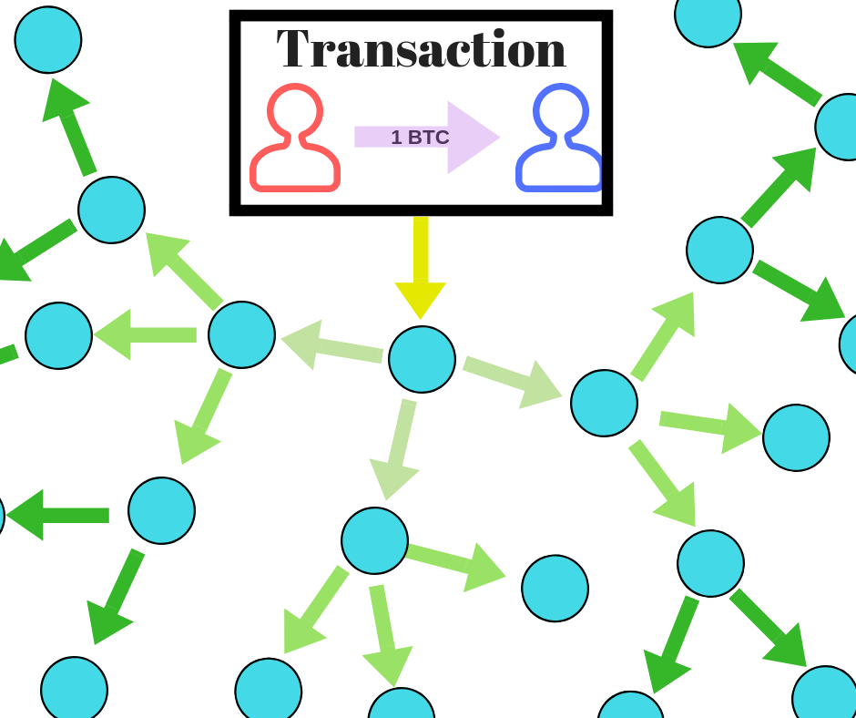 Light, Full, and Master Nodes: Definition, Differences