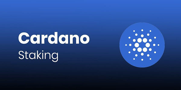 Cardanesia | Best Cardano ADA Staking Pool | Stake with Confidence