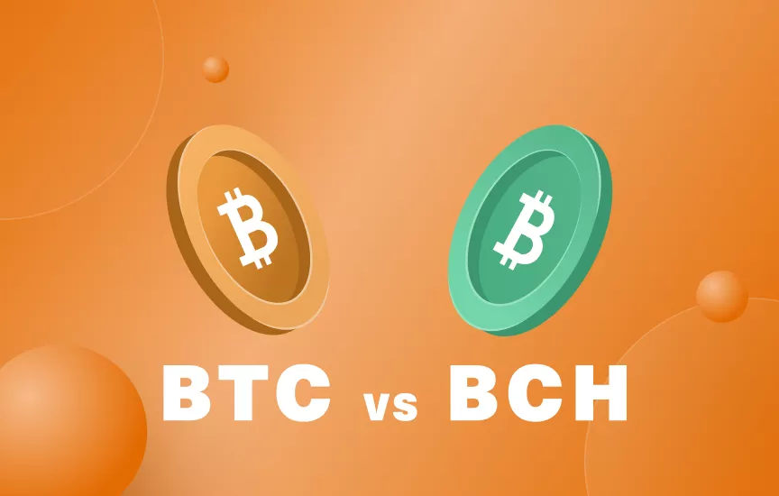 Bitcoin vs Bitcoin Cash – Forbes Advisor Australia