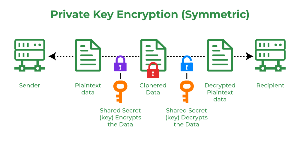 What are private and public keys in bitcoin? | Mint