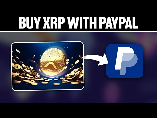 PayPal Does Not Support XRP Conversion, Contrary to Recent Claims