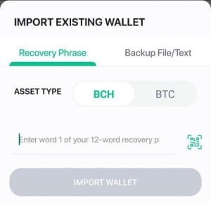 Can I Recover a Bitcoin Wallet With a Private Key? [The Full Guide]