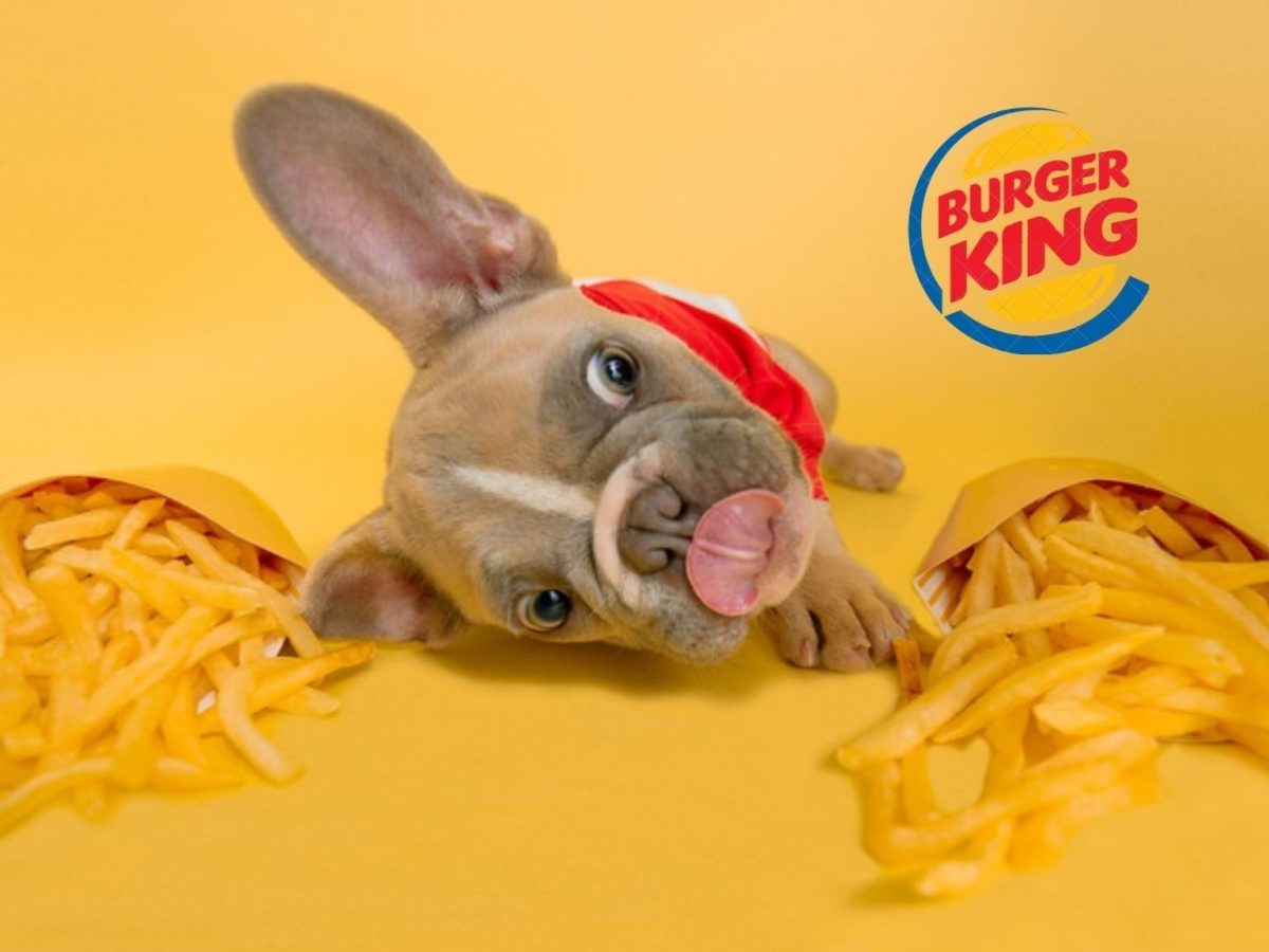 Burger King Hints at Accepting Dogecoin Payments: Is Mainstream Adoption Near? | CoinMarketCap