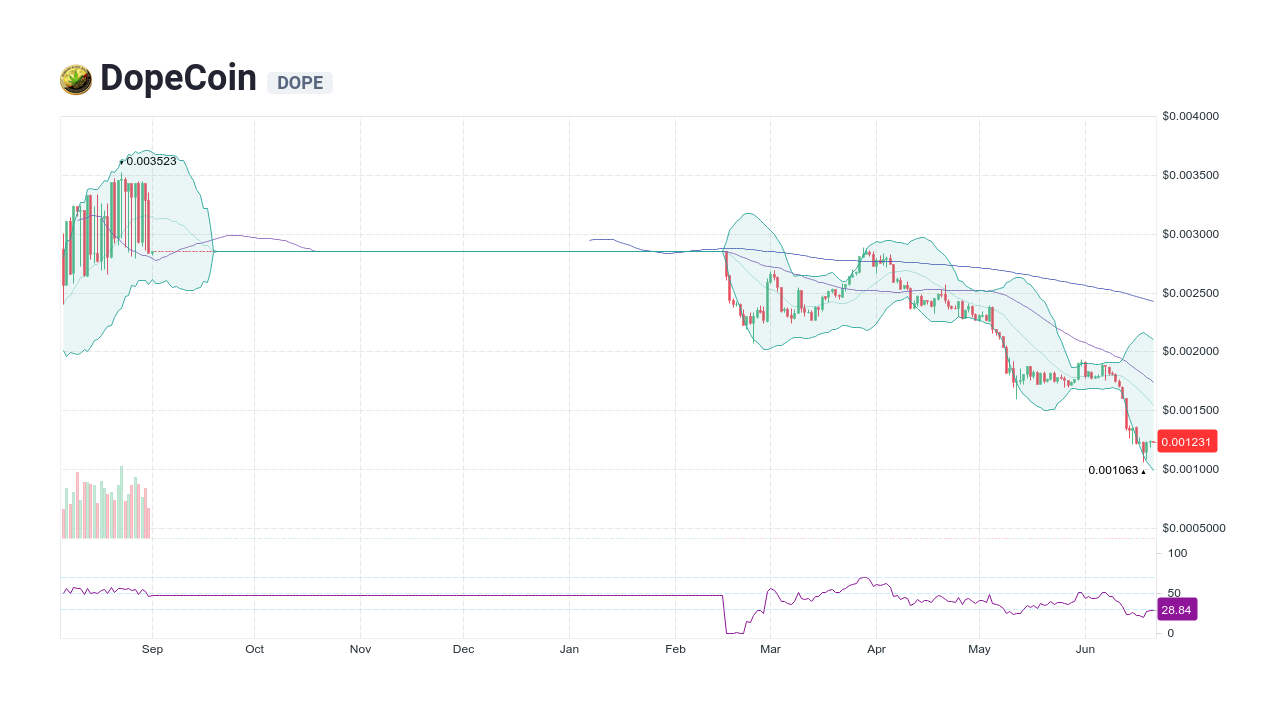 DOPE Coin Price Today - DOPE Coin Price Chart & Crypto Market Cap