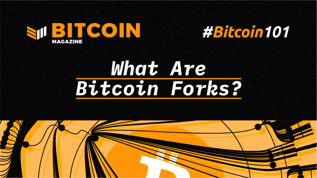 Hard forks | cryptocurrency hard forks