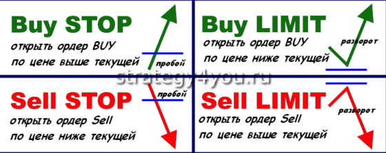 What Is a Limit Order Book? Definition and Data